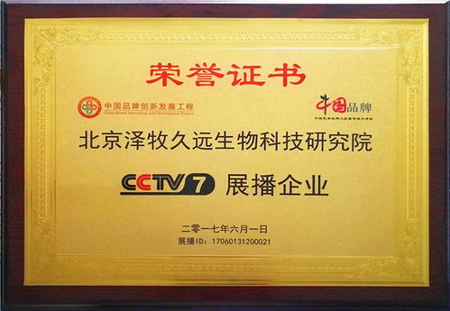 育肥羊饲料报价、厂家推荐与技术转让全解析